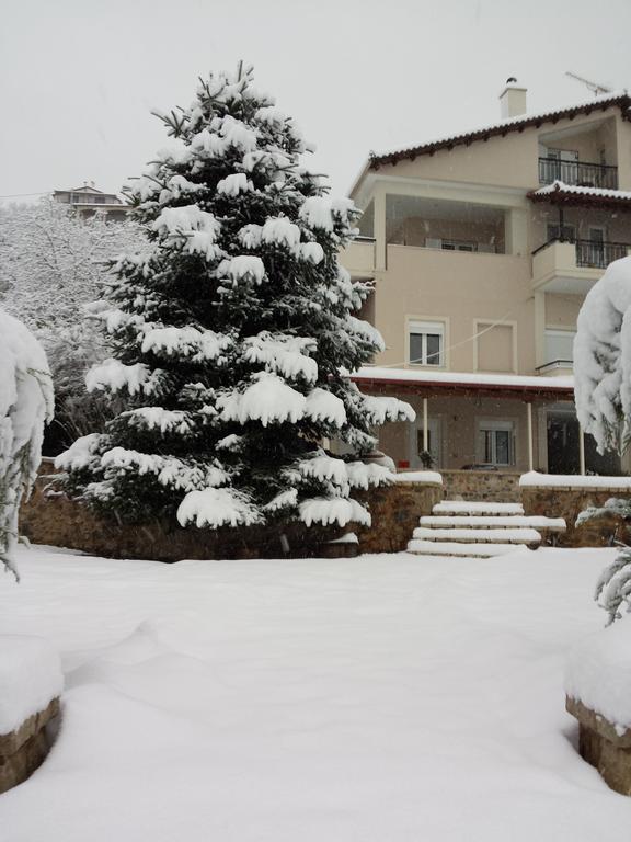 Xenonas Ioanni Parcha Hotel Levidhion Luaran gambar